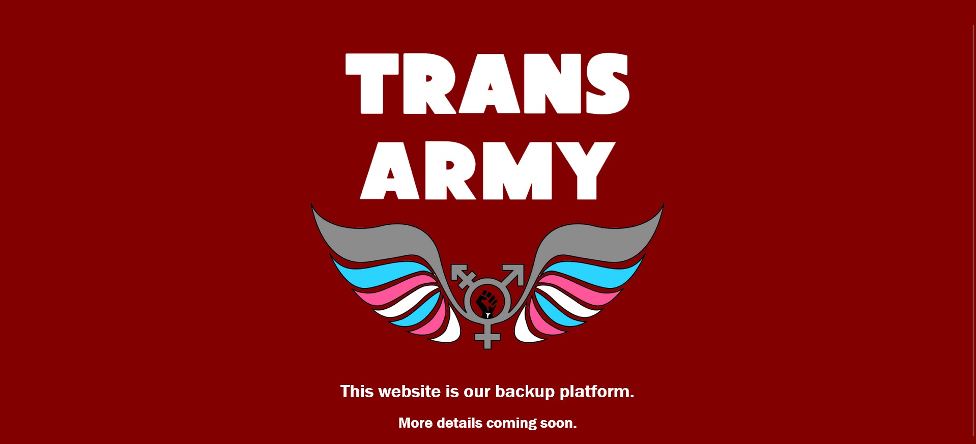 ‘Trans Army’ Facebook page recruits veterans, police officers to join ‘rebellion’, stockpile weapons, ‘prepare for what’s coming’ post thumbnail image